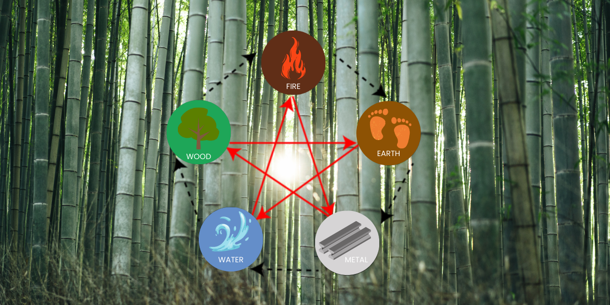 Wood Element our tips to find your balance Shiatsu Society (UK)